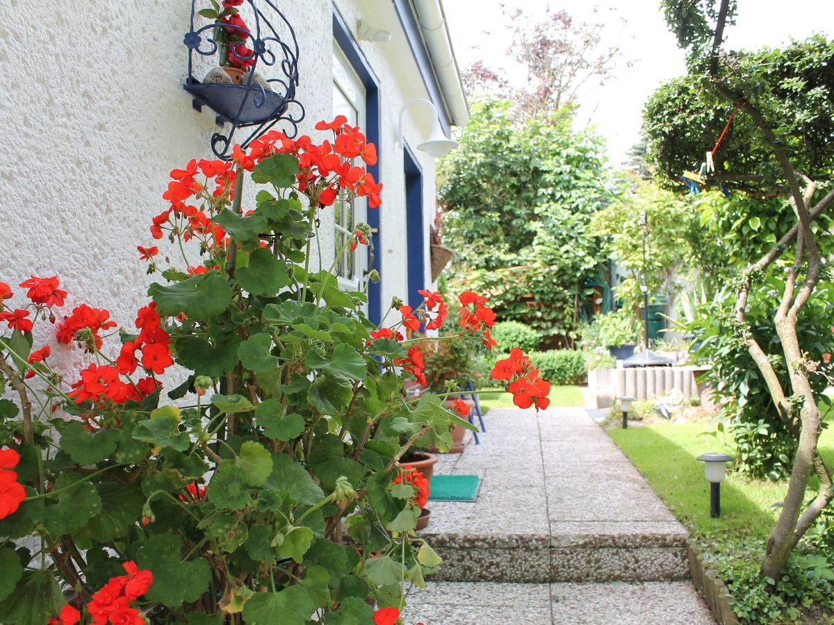 Attractive Bungalow In Damshagen Near The Sea Eksteriør billede